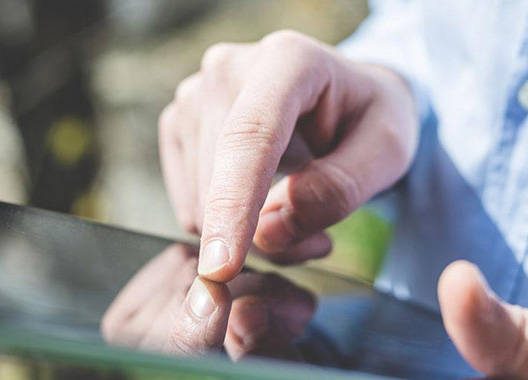 壹定发(中国游)最新官方网站