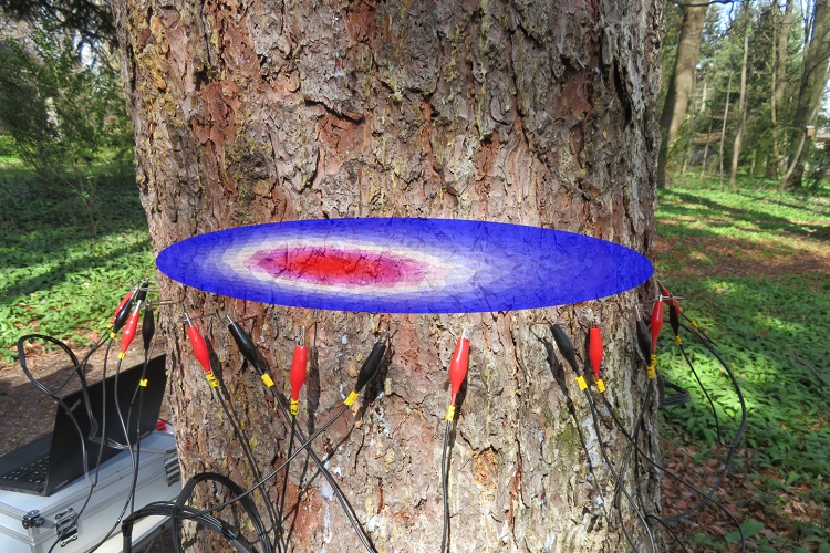 壹定发(中国游)最新官方网站