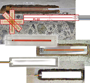 壹定发(中国游)最新官方网站