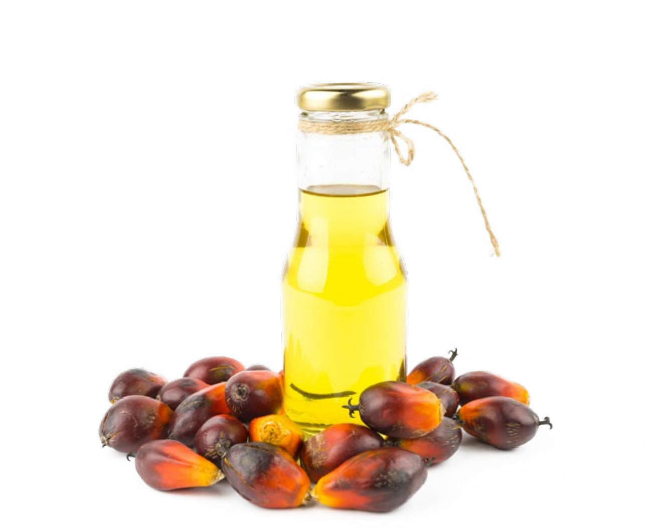 壹定发(中国游)最新官方网站