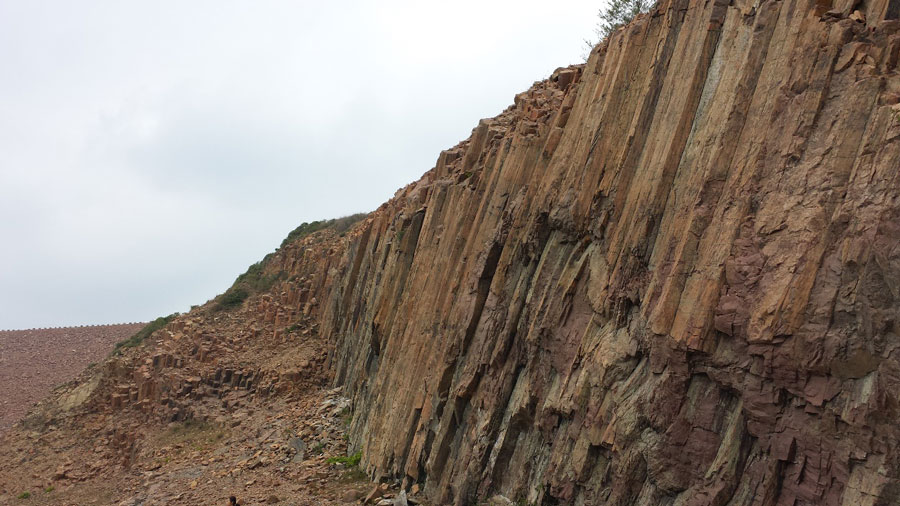 壹定发(中国游)最新官方网站