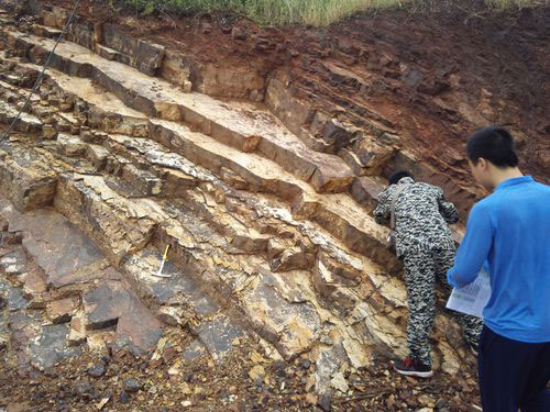 壹定发(中国游)最新官方网站