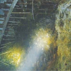 壹定发(中国游)最新官方网站