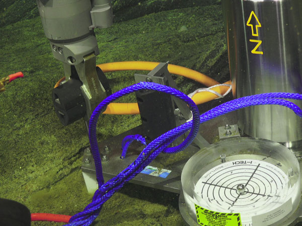 壹定发(中国游)最新官方网站