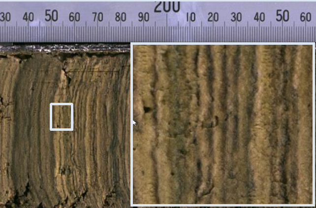 壹定发(中国游)最新官方网站