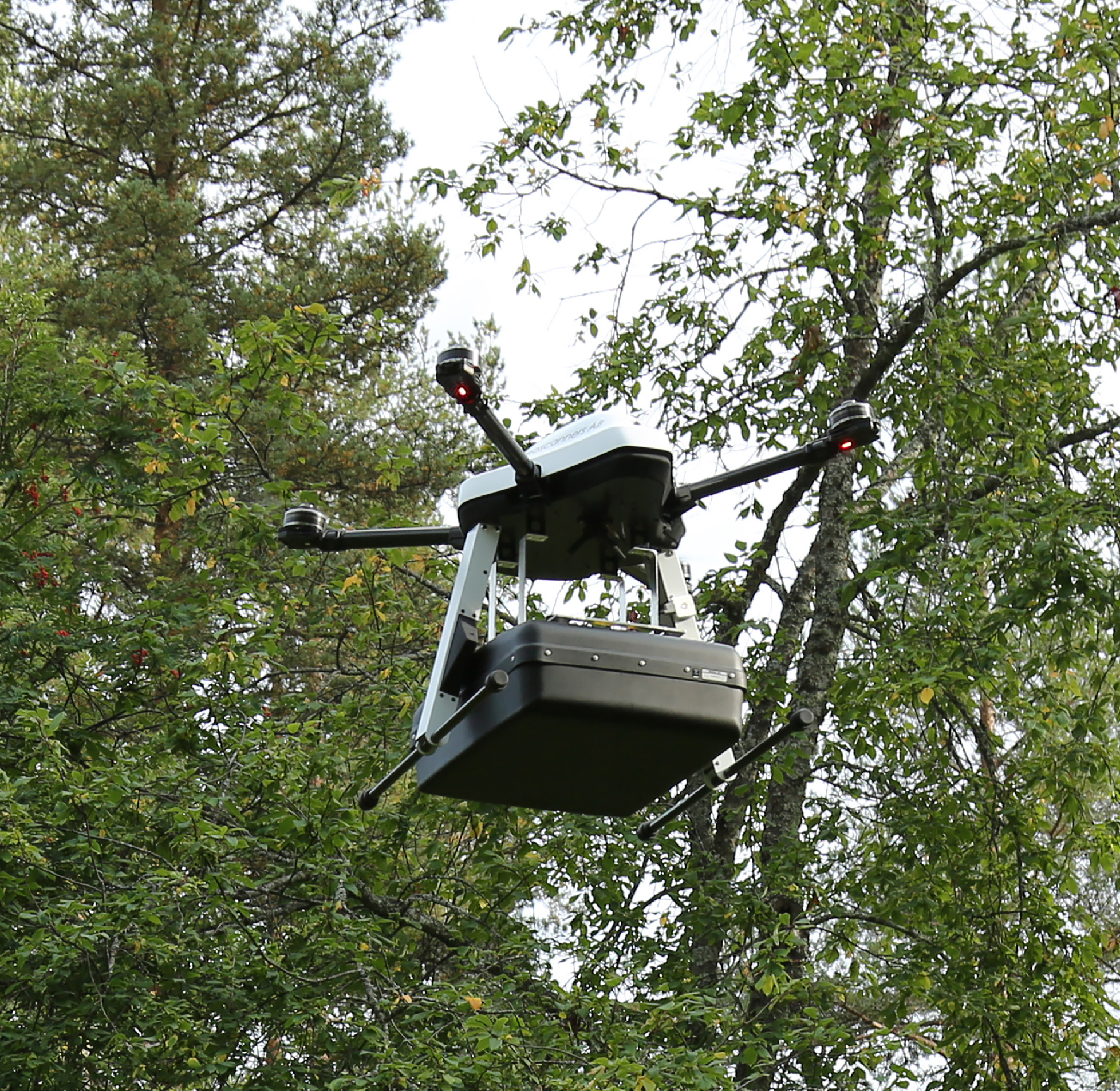 壹定发(中国游)最新官方网站