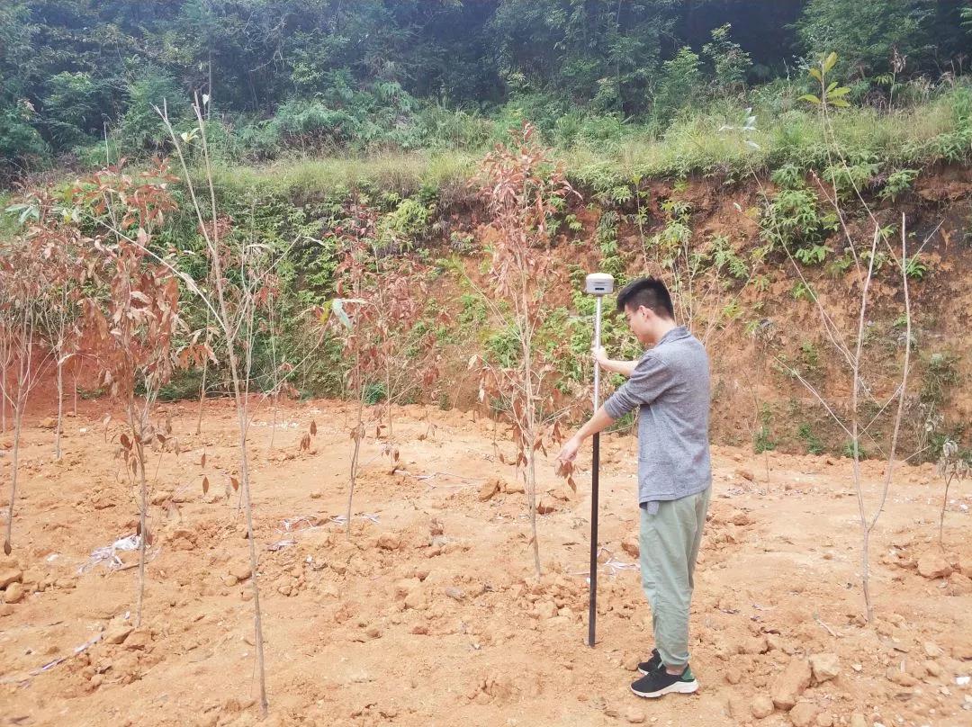地皮规划部项目纪实丨PP电子游戏人，助力荒地变桑田！