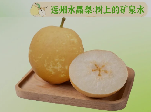 “桃李”炎暑，清冷一夏