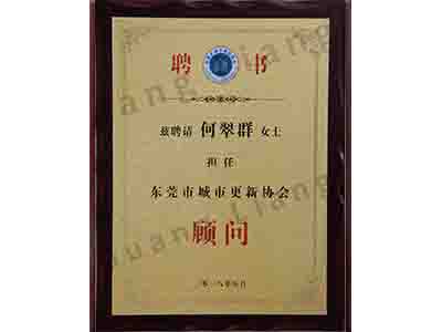 汉中市城市更新协会照拂