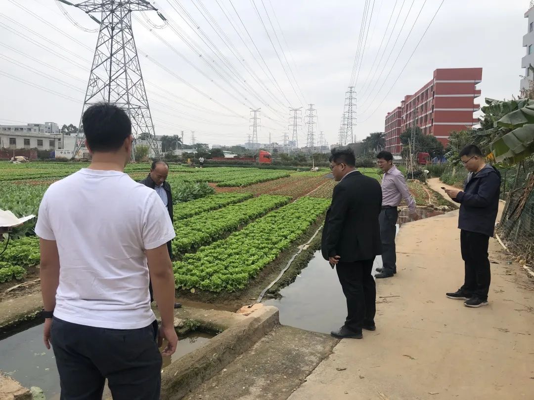 助力村落振兴，PP电子游戏一向在致力！