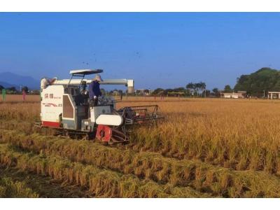 PP电子游戏评估与规划公司荣获“耕地；び帕嘉朗康ピ保