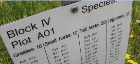 壹定发(中国游)最新官方网站