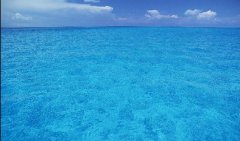 壹定发(中国游)最新官方网站