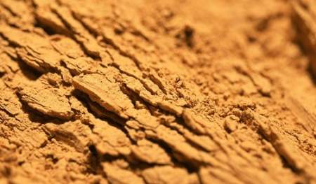 壹定发(中国游)最新官方网站