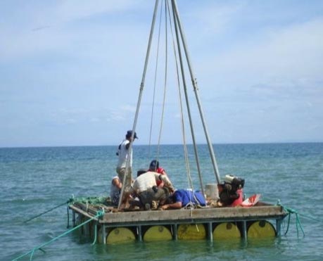 壹定发(中国游)最新官方网站