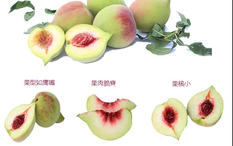 1626315789885461 微信图片_20210715102257.jpg